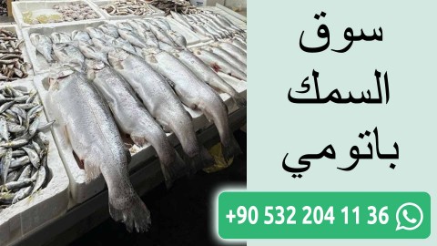 سوق السمك باتومي